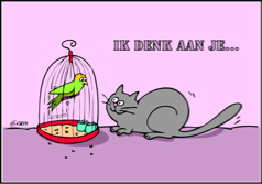 ik-denk-aan-je